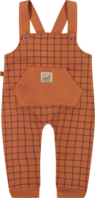 Frogs and Dogs Tuinbroek jongen met Checks print