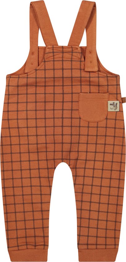 Frogs and Dogs Tuinbroek jongen met Checks print