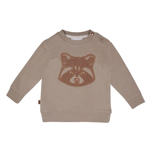 Frogs and Dogs Racoon sweater