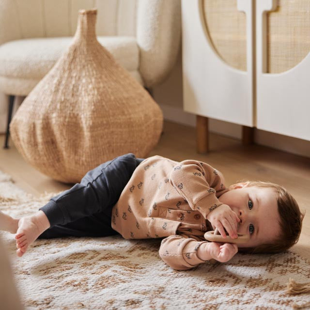 Dirkje longsleeve vliegtuigje