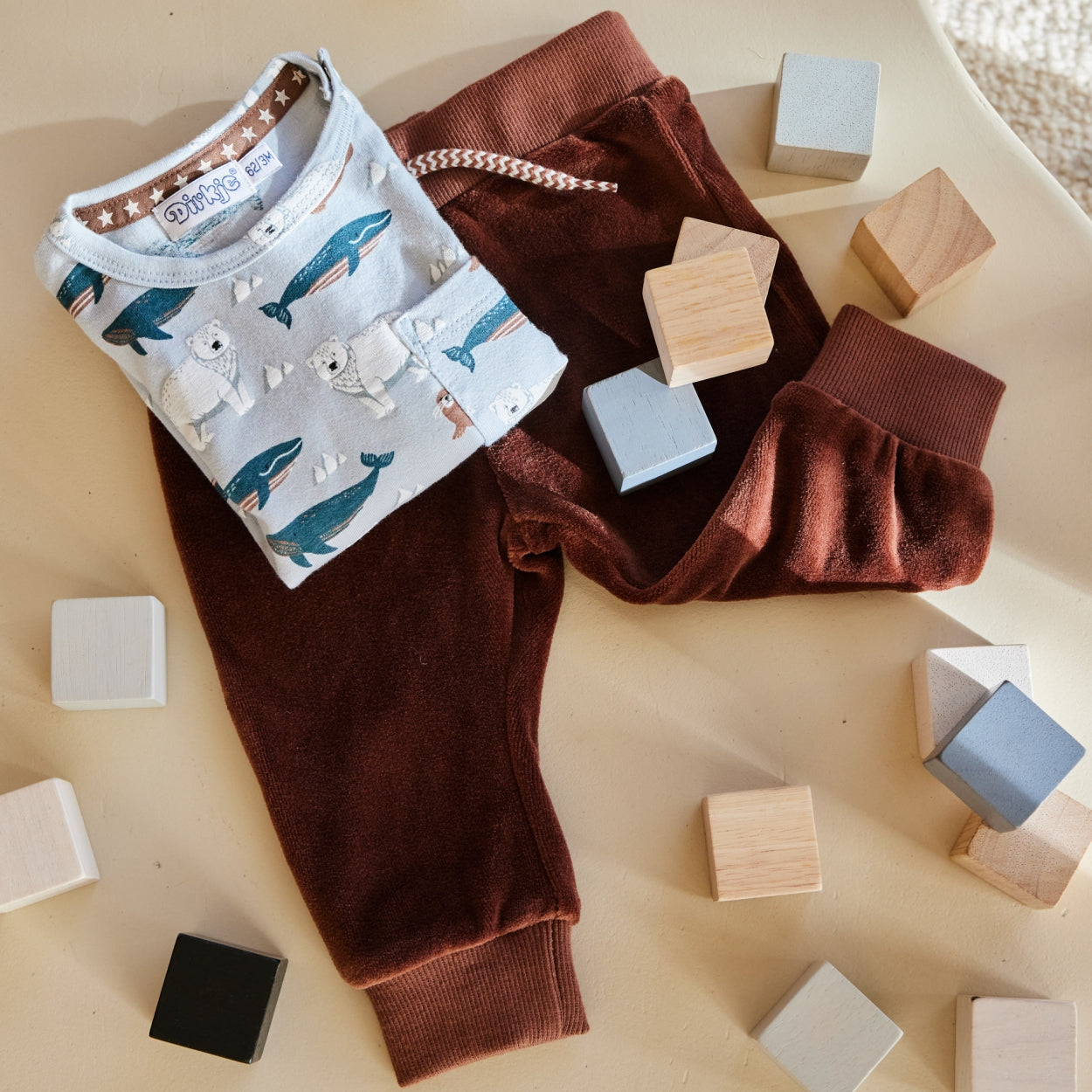 Dirkje setje Sealife