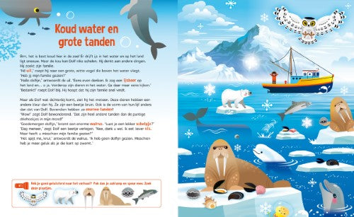 Speuren naar dolfijnen
