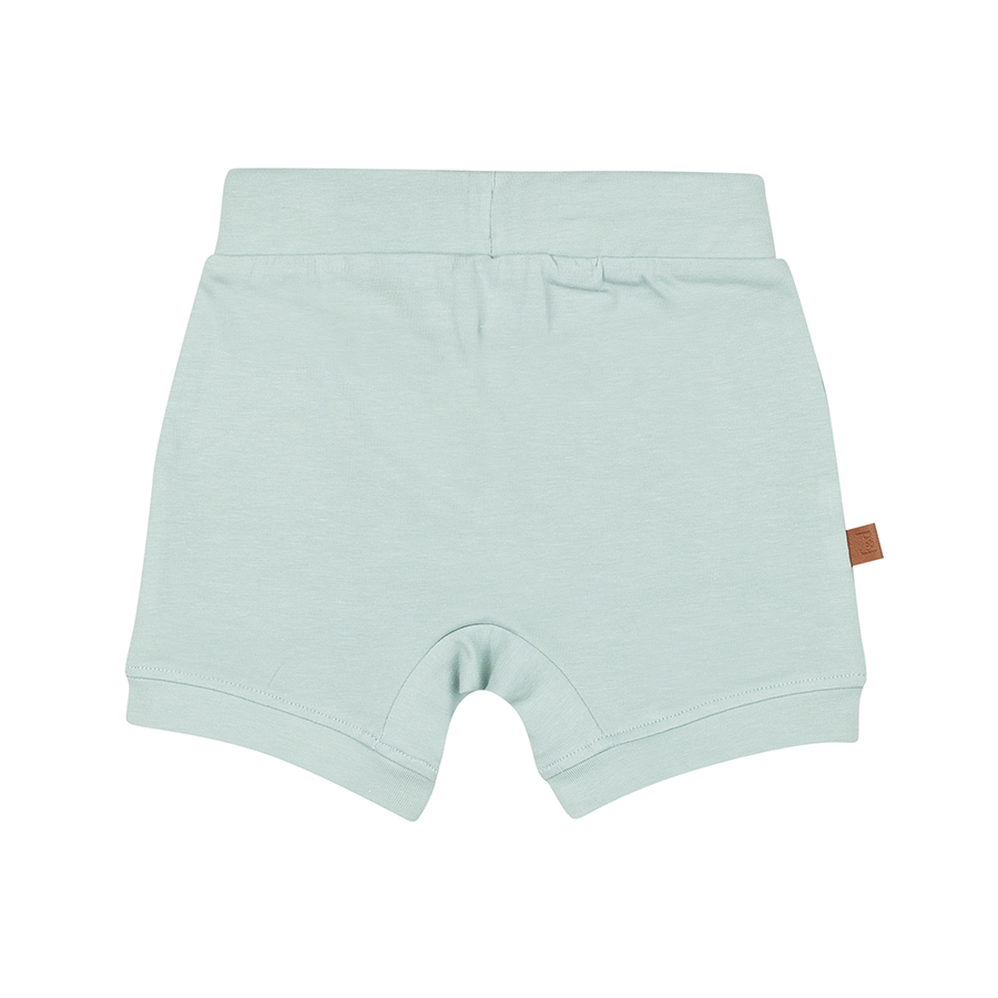 Frogs and Dogs Dino plain short Baby