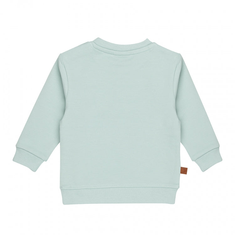 Frogs and Dogs sweater mint