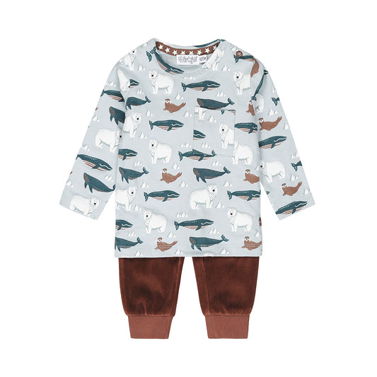 Dirkje setje Sealife