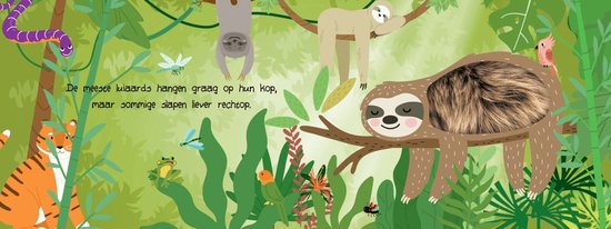 Kijk en voel Jungledieren